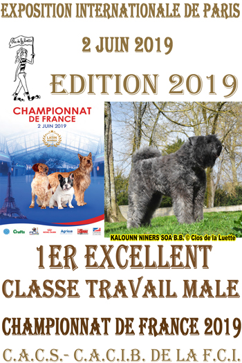 KALOUNN Bouvier des Flandres du Clos de la Luette COPYRIGHT